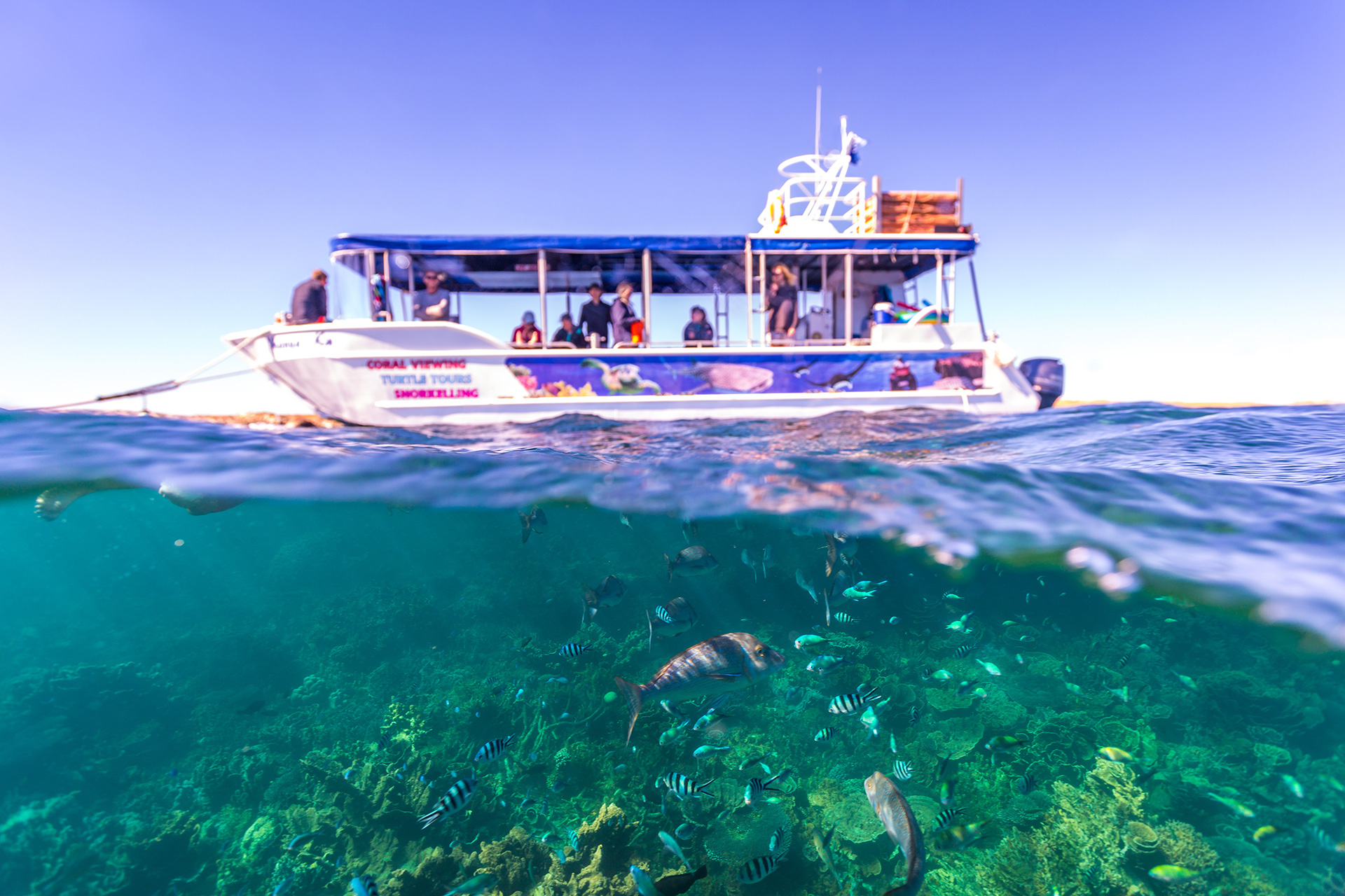 Coral Bay. Photo credit: Tourism Western Australia