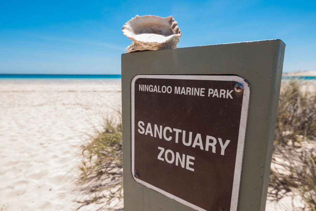 Fishing is strictly forbidden in marine park sanctuary zones or in marine nature reserves